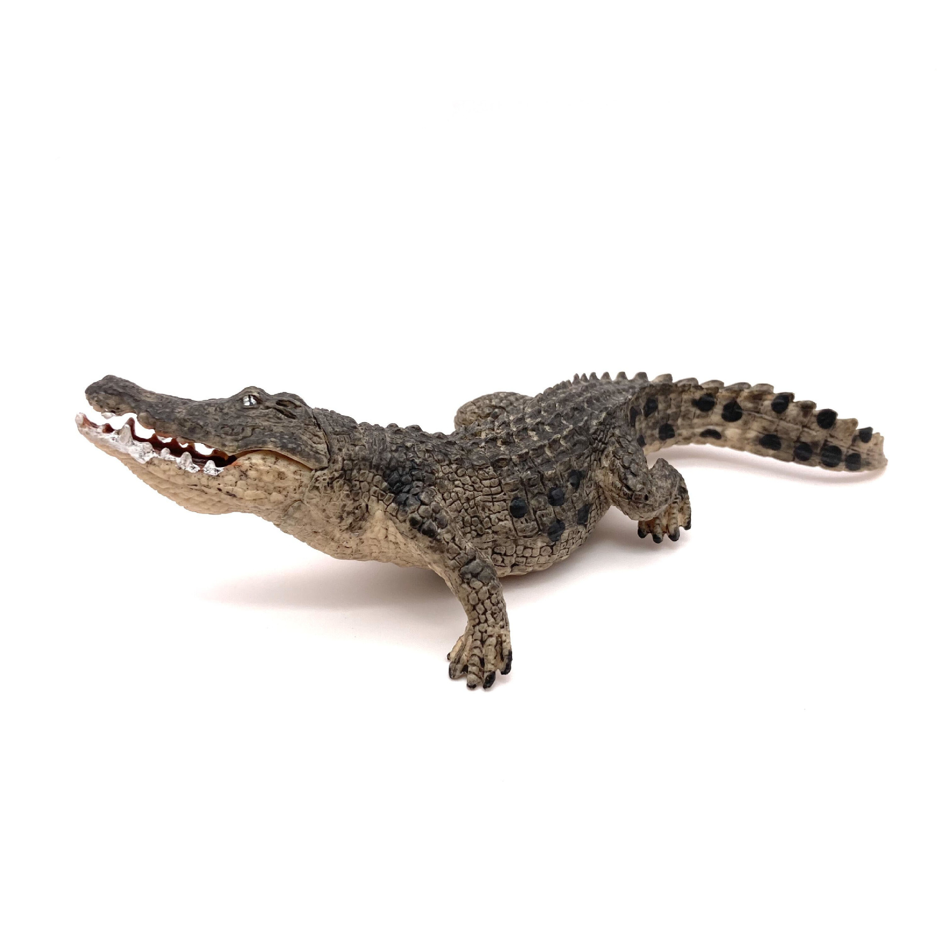 跨境仿真野生动物模型扬子鳄野猪鳄短吻鳄黑帝鳄实心塑料模型手办