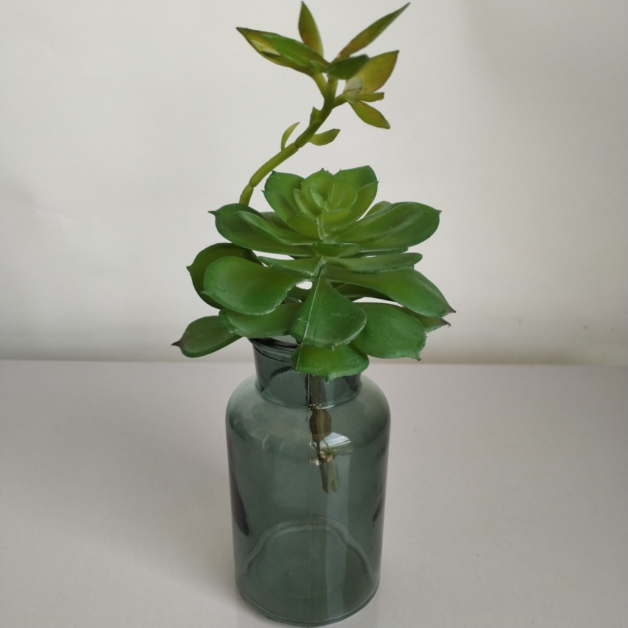 仿真多肉植物带花连体宝莲北欧家居茶几书房摆件插花植物墙配材花