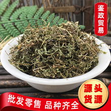 批发 鹅不食草 天胡荽 石胡荽 鹅不食草 保质保量J