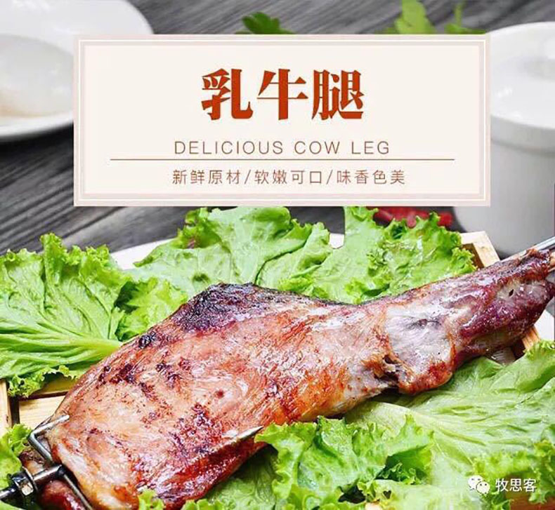 新西兰进口乳牛腿 带骨小牛腿 冷冻牛肉真空包装生鲜