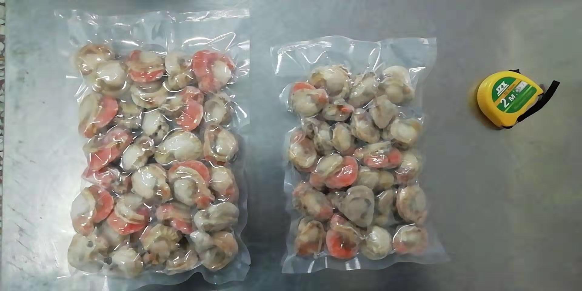 批发供应冷冻去脏扇贝肉原料红膏本地蒜蓉扇贝肉捞汁海鲜食材