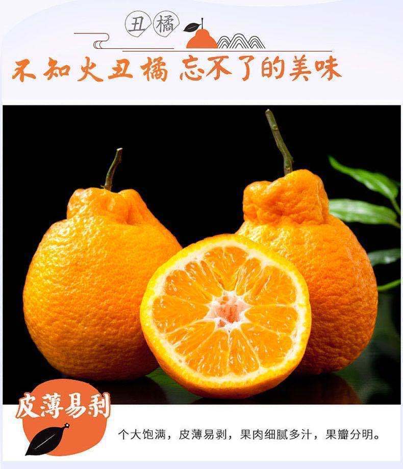 产品类别         柑       品种         丑柑       是否进口