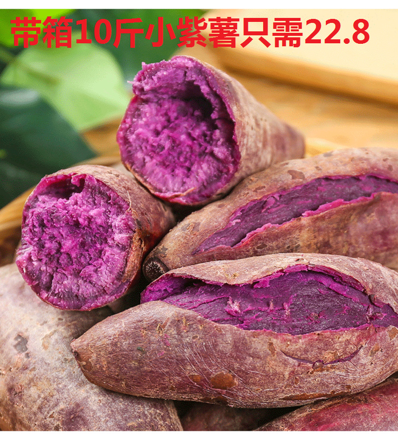 新鲜小紫薯10斤番薯迷你小地瓜红皮香薯农家现挖现发