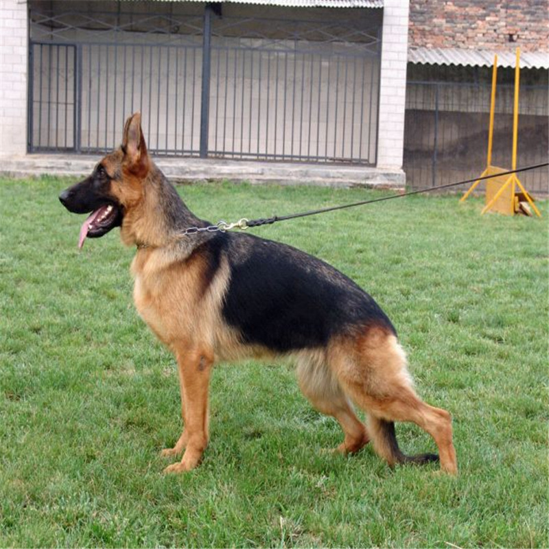 公司信息>员工人数:2 人以上所在地:济宁市任城区 李营街道中德广场b