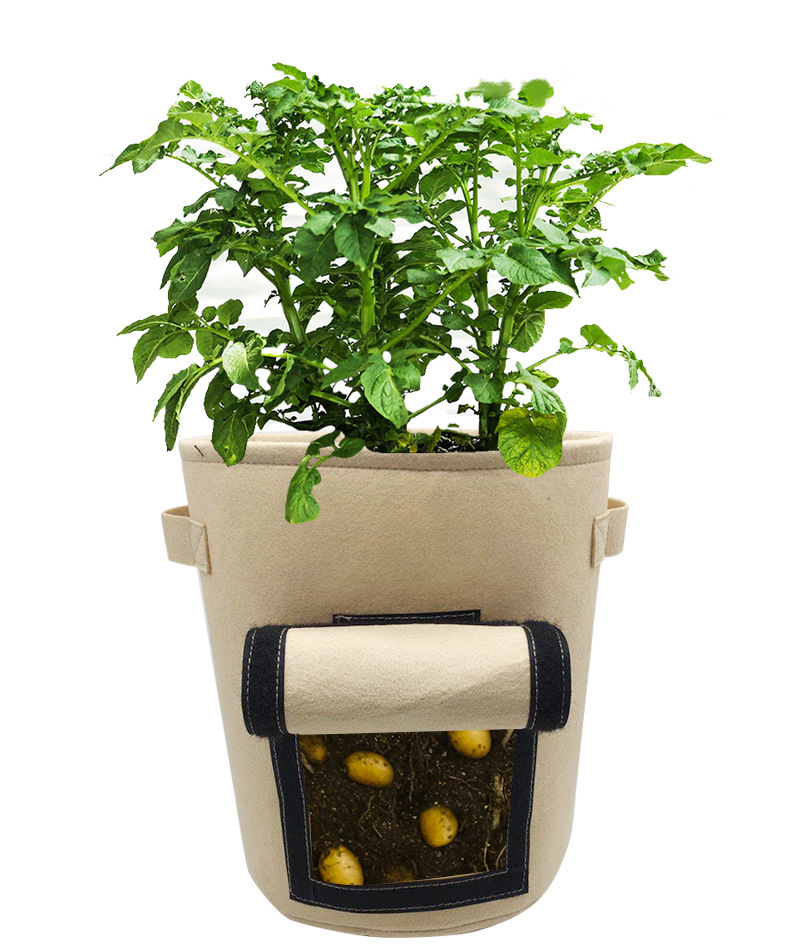 毛毡种植袋土豆毛毡种植桶育苗袋无纺布种植袋可定制