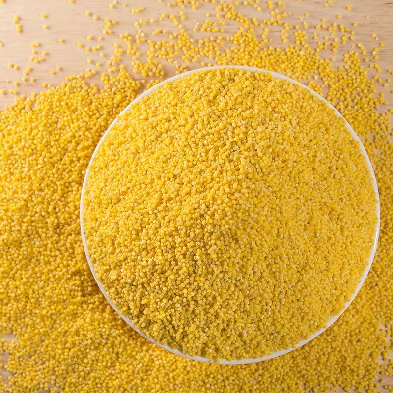小米黏黄米500g新货黍子糯小米粥农家糜子东北粗粮批发五谷杂粮