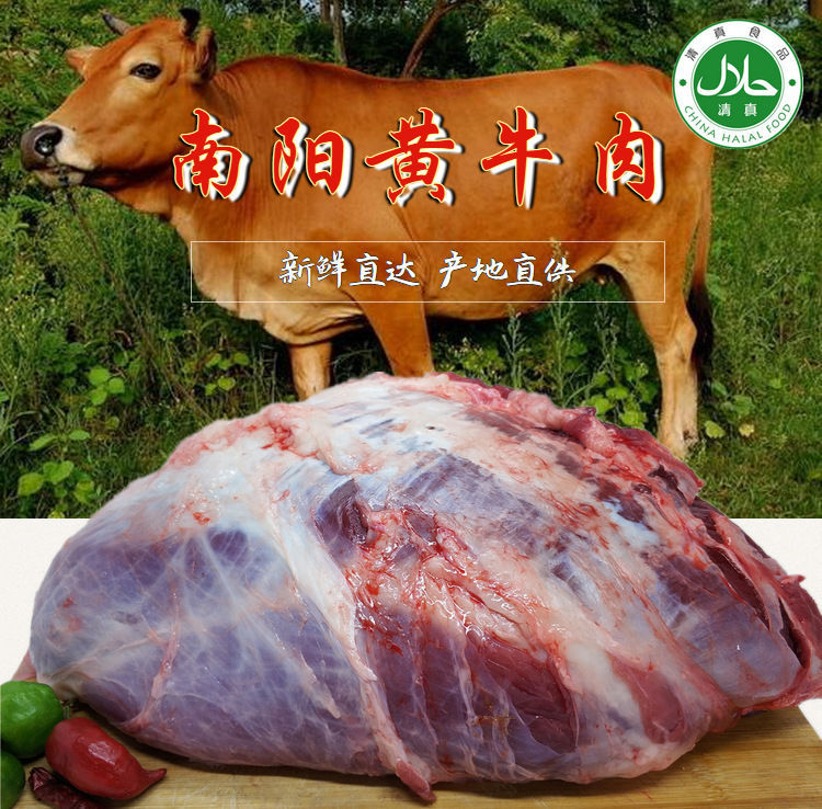 清真生牛肉新鲜黄牛肉鲜牛肉原切不拼接牛尾巴牛胸牛腿肉牛腩