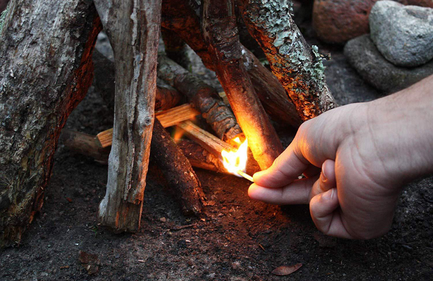 松明引火条 取火松木 户外求生取火助燃物松木油脂 引火松木块