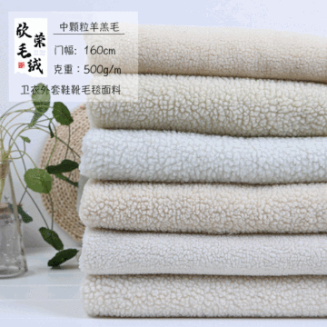 现货绒布面料素色羊羔绒 颗粒羊绒 卫衣外套毛毯仿羊绒布料羊羔毛