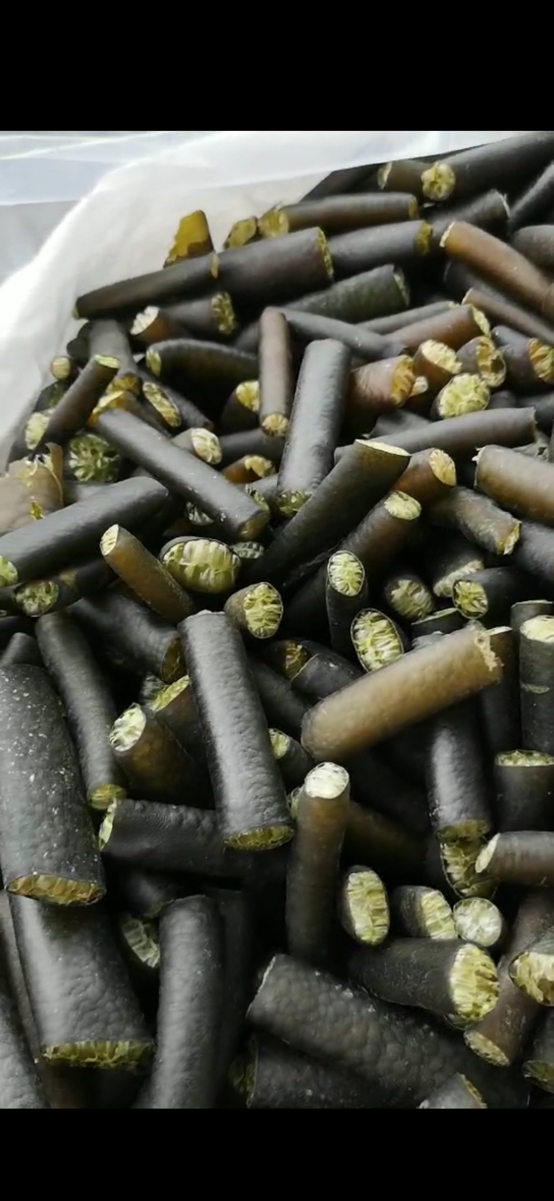 海笋批发南极海笋海藻干货海洋蔬菜南极海茸海笋冰笋冰藻30斤1件