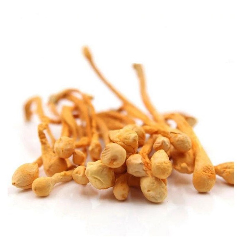 500g大孢子头虫草花大孢子头蛹虫草金虫草北虫草干货