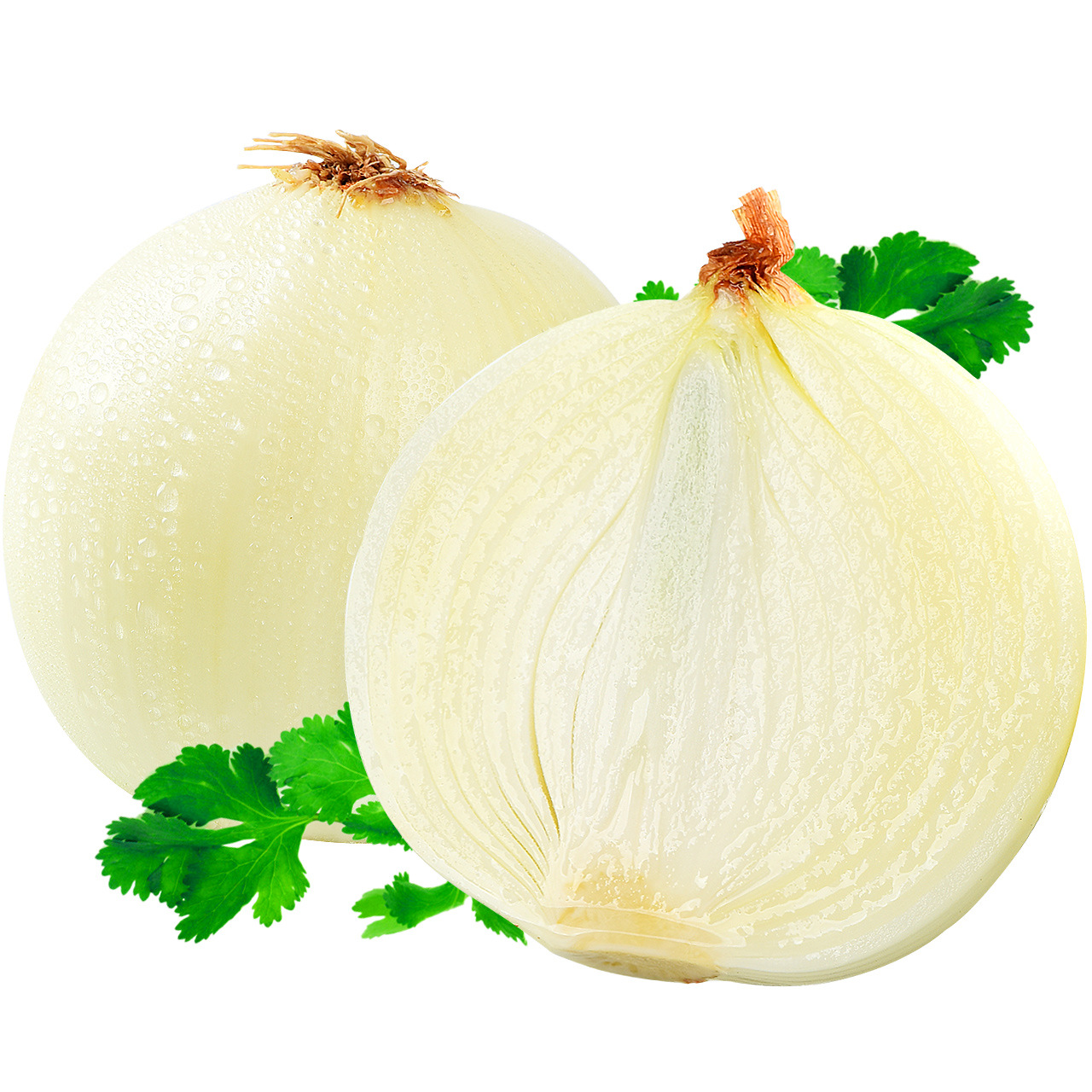 带箱10斤包邮白皮洋葱新鲜蔬菜 当季农家自种紫皮圆葱头整箱批发