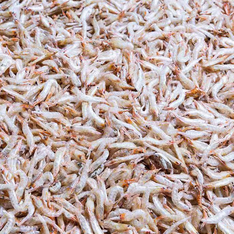 厂家供应新鲜小虾米 虾粉小虾皮钩 海鲜水产品干货批发零售