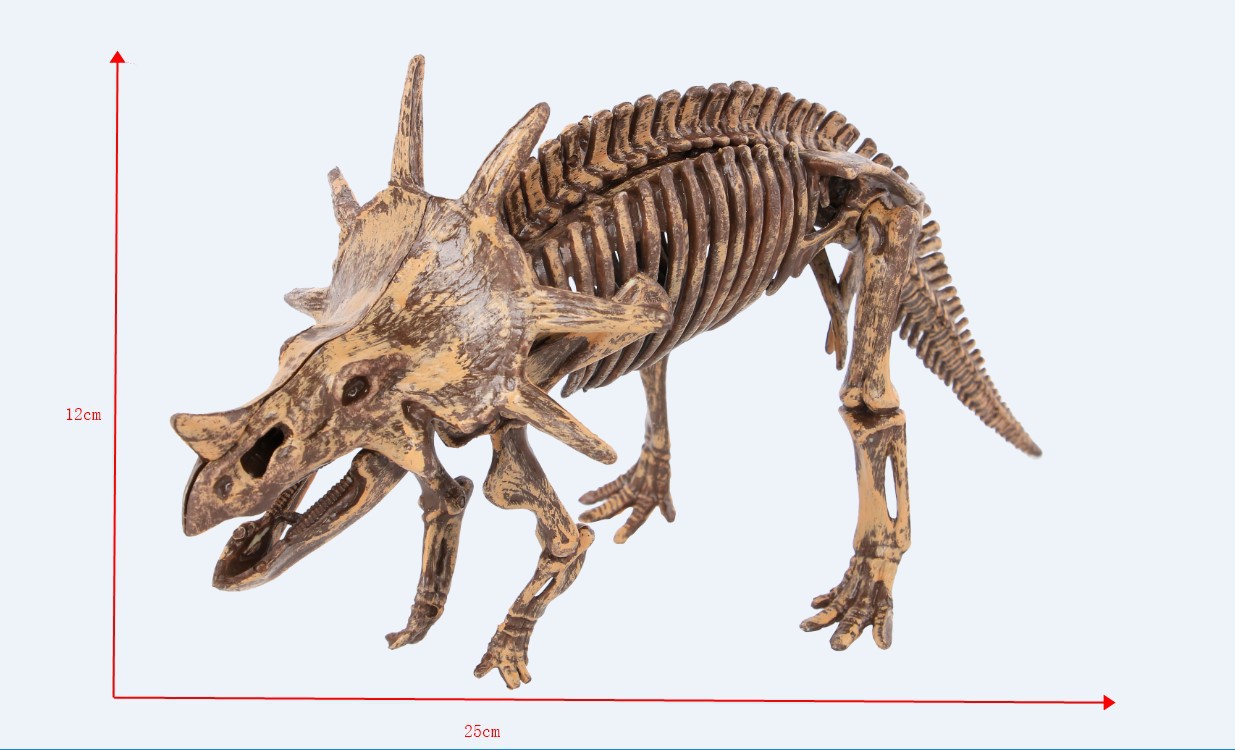 恐龙化石考古玩具小型恐龙益智类启蒙模型化石骨架