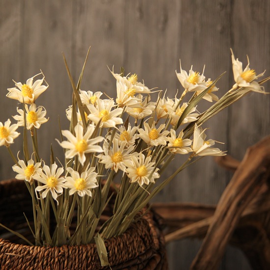 文心兰天然手工艺术干花批发文艺清新小雏菊白色