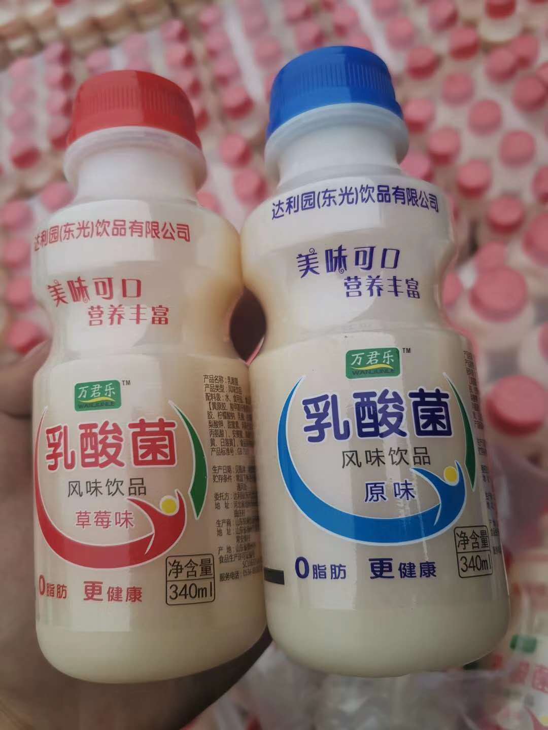 跑江湖产品饮料山东达利园乳酸菌饮料展会地摊热卖食品厂家直销