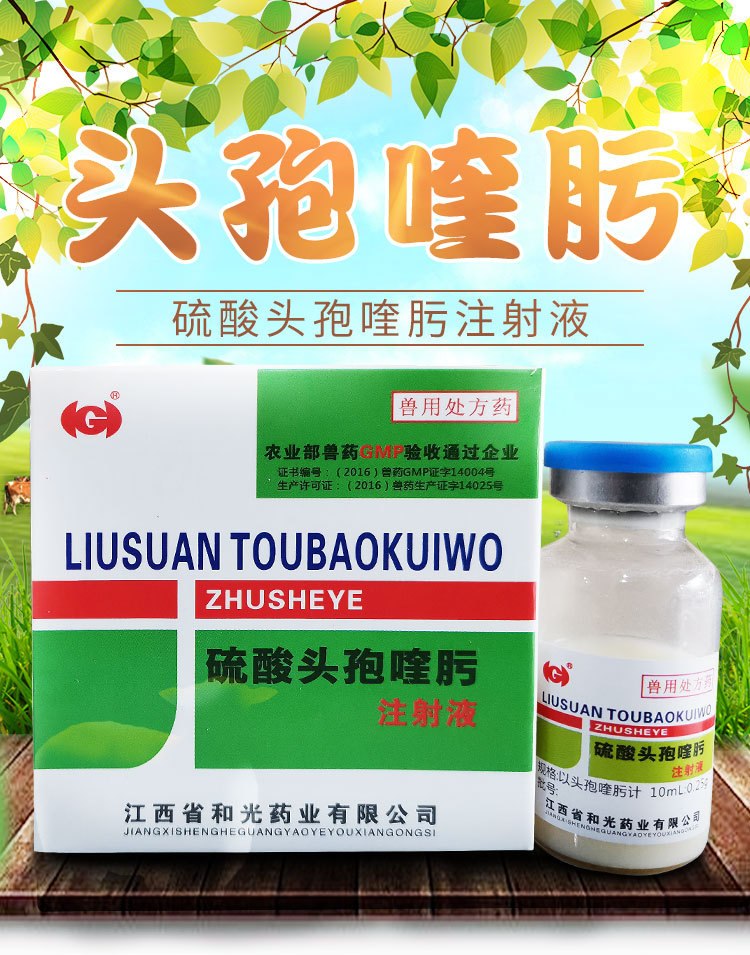 兽药硫酸头孢喹肟注射液 兽用仔猪母猪保健产后咳嗽肺炎