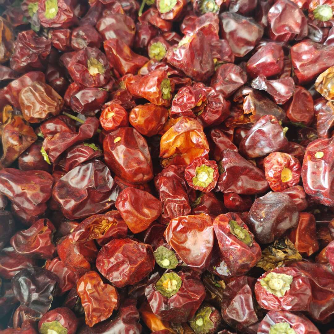 【河南灯笼椒】产地灯笼海椒500g另有印度干辣椒王纯红子弹头椒粉