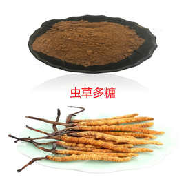 现货 蛹虫草多糖50% 虫草菌丝体提 含虫草素0.3%多糖50% 批发零售