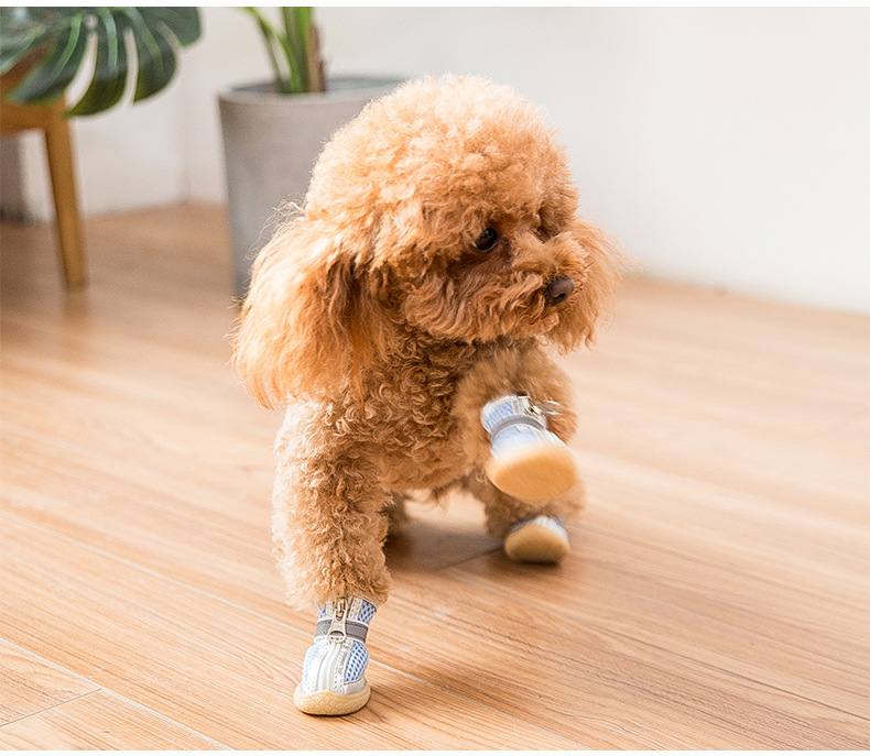 小狗狗鞋子夏季软底不掉 泰迪小型犬四季通用比熊一套4只宠物鞋套