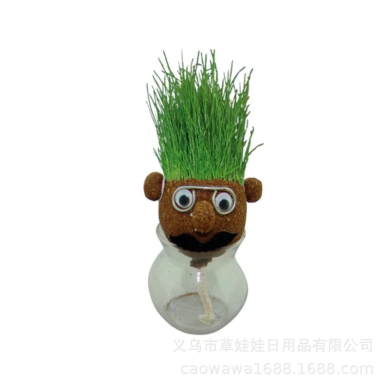 卡通长草草头娃娃 4元种植草娃娃礼品 创意办公室盆栽种植小礼品