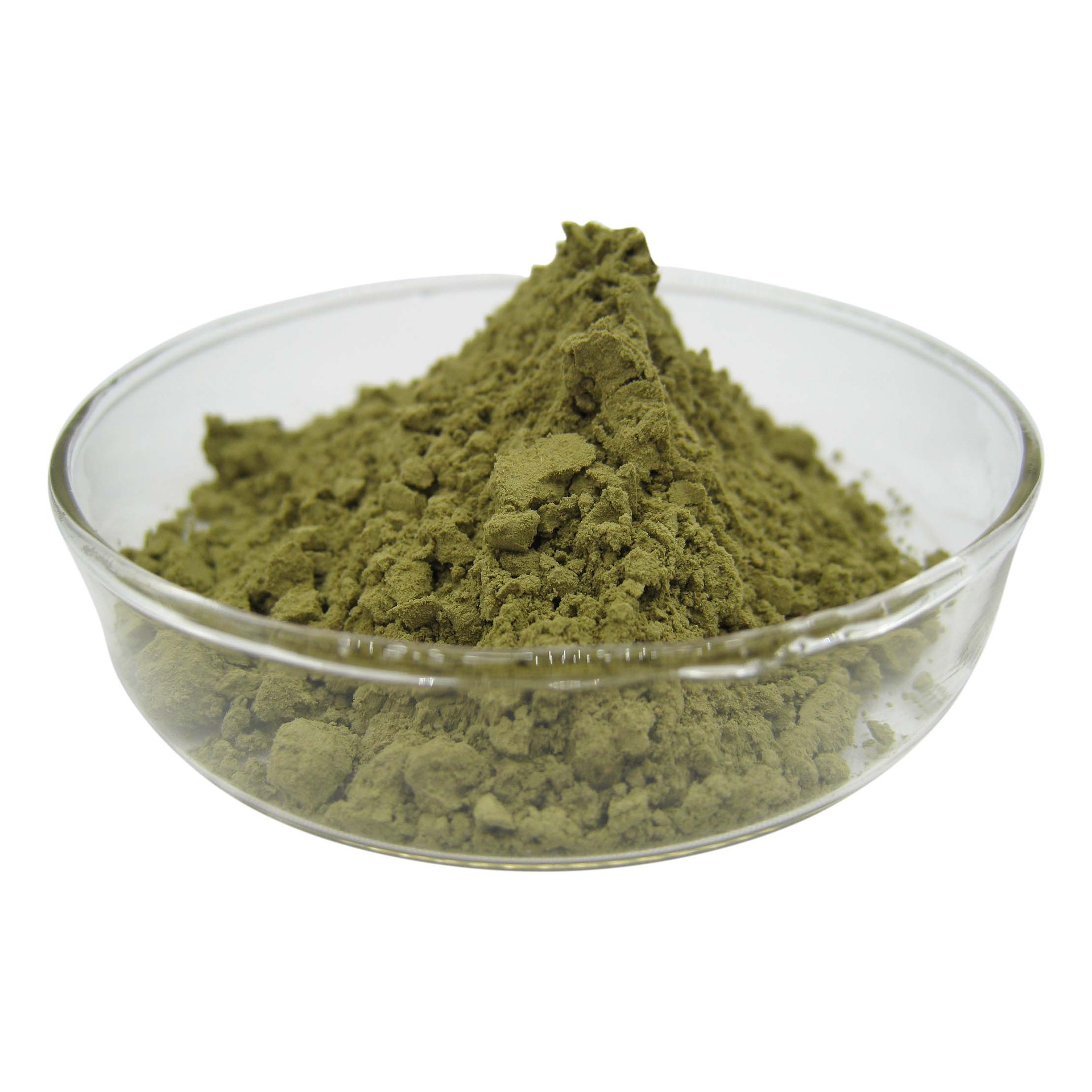 槲皮素98117395槐米提取物文竹生物