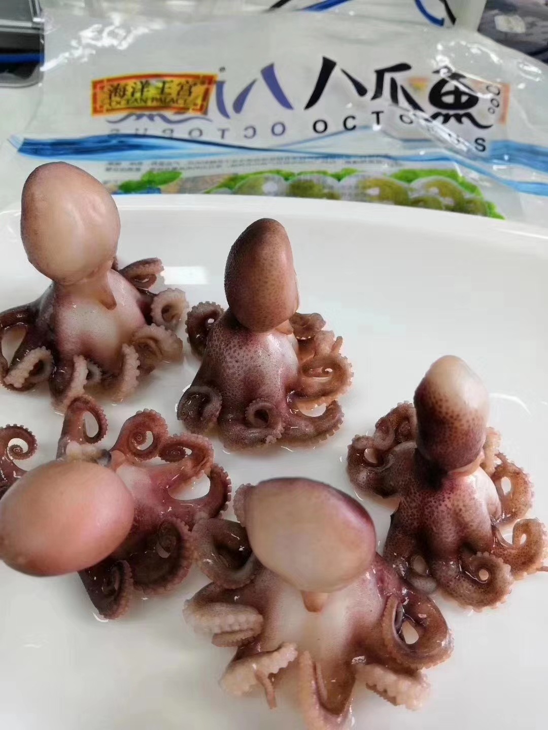 海洋王宫真空八爪鱼 深海盐墨小八爪鱼火锅海鲜半成品食材400g/包