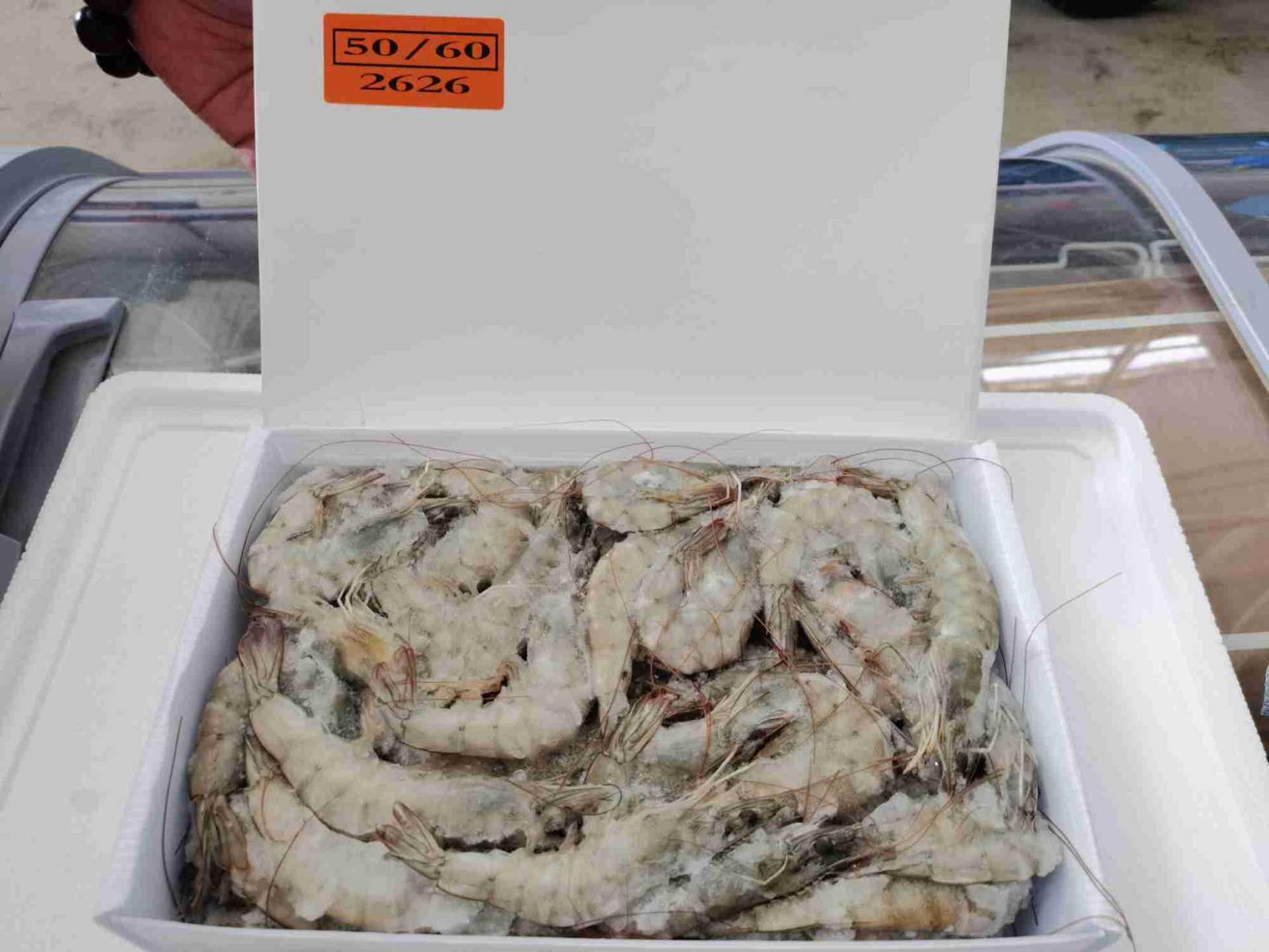 批发批发冷冻厄瓜多尔南美白对虾50-60盐冻4斤生鲜食品酒店食材