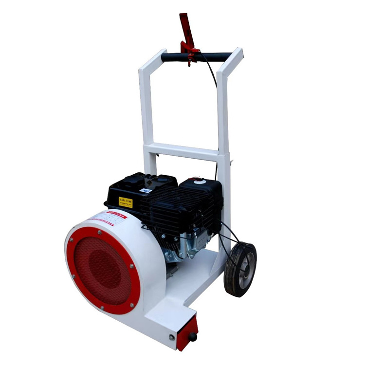 汽油手推吹风机 机场道路吹风机 大功率吹风机