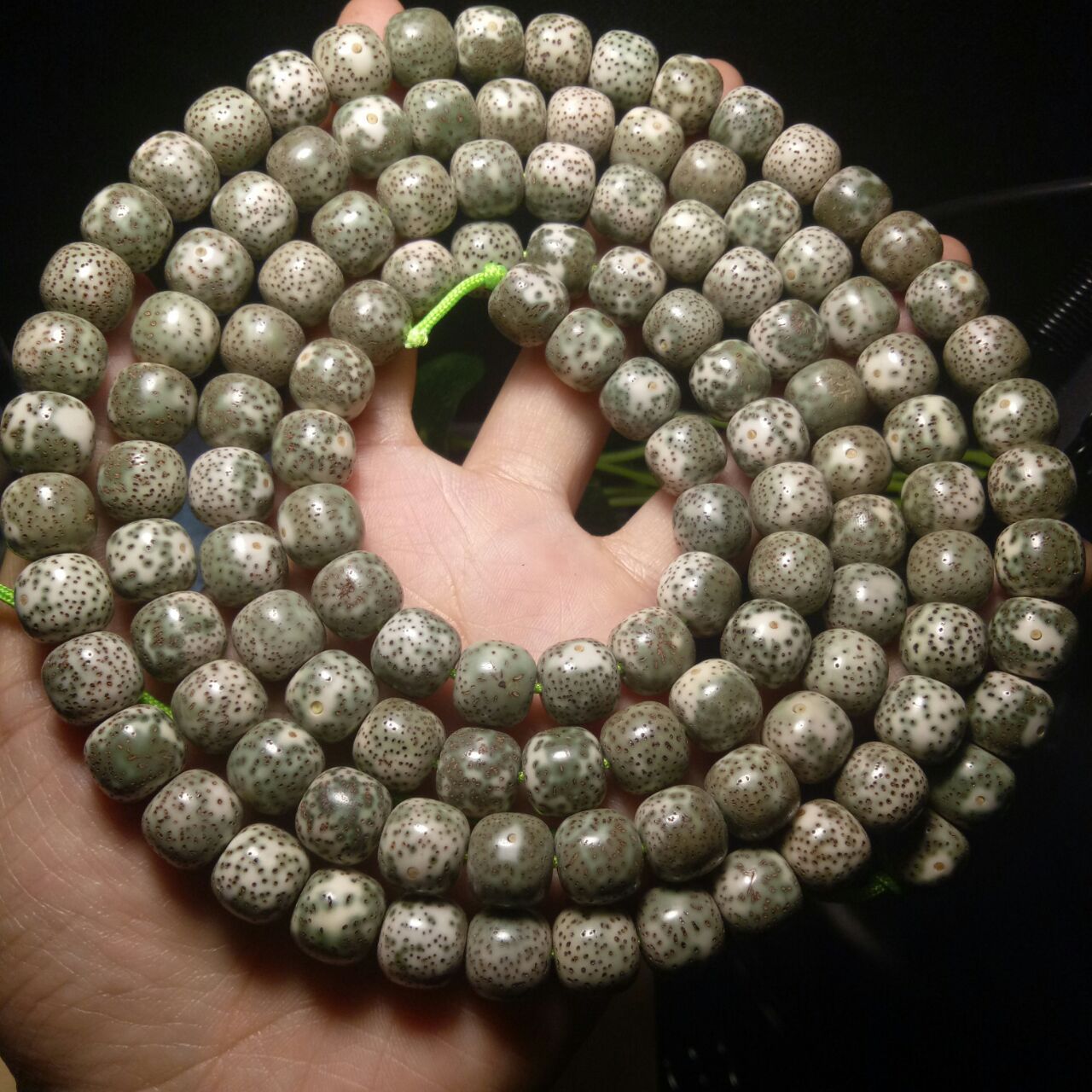 原生态绿皮阴皮星月菩提老型桶珠万目高抛正月