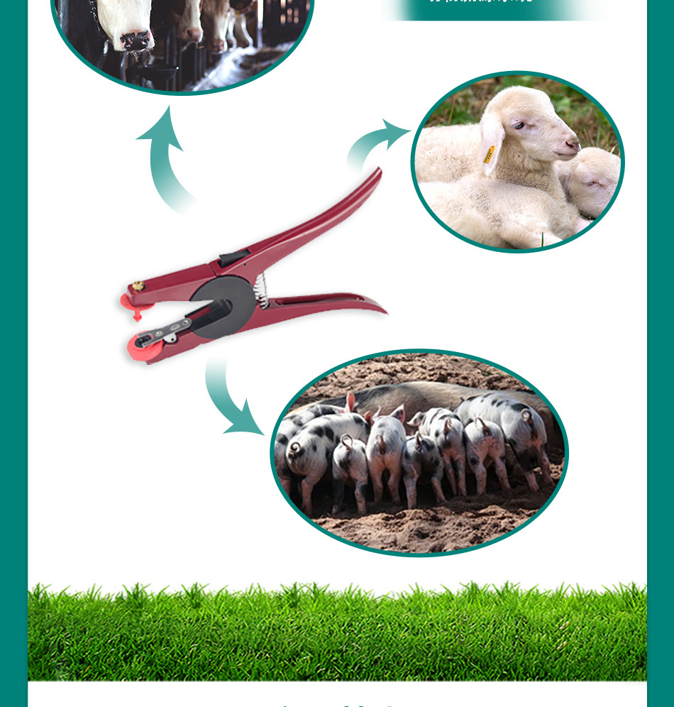 rfid动物耳标 电子耳标 羊耳标 超高频耳标