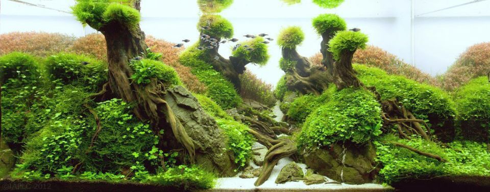 鱼缸底砂菲律宾砂河沙陶粒白沙黄金沙装饰造景化妆砂细沙