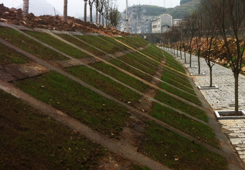 植生砼护坡用于固土可草种透水生态砼绿化混凝土胶结料强固剂增强