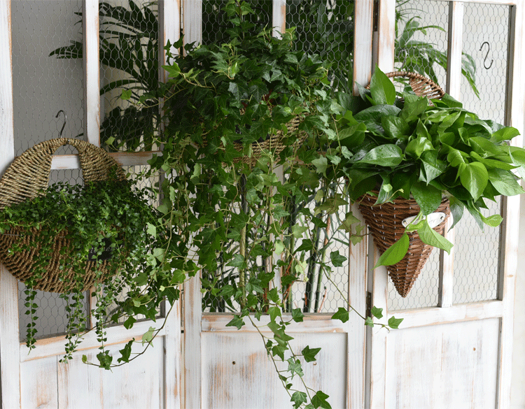 阳台花篮挂花盆 悬挂 藤编挂式花篮编织手工悬挂花盆
