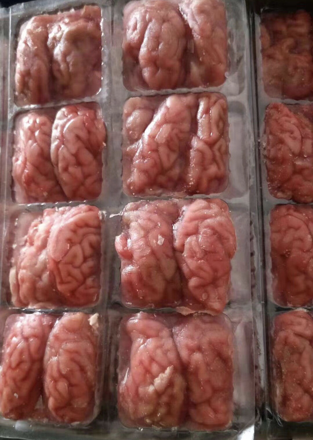 厂家直供 冷冻猪脑96副 生猪脑花 大猪脑子 猪脑花