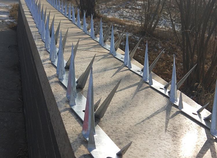 厂家供应工厂围墙防爬刺钉 涂塑防锈刺钉 防攀爬防护刺钉 现货