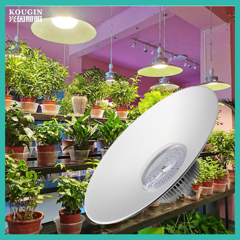 温室育苗大棚植物补光灯 蔬菜 火龙果全光谱 led植物生长灯