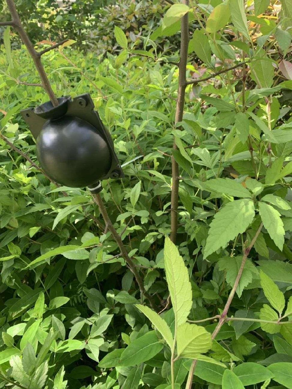 嫁接生根盒套装植物高压枝条高空根植树木种植花苗加厚控根器花卉