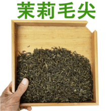 广西横县茉莉花茶2020新茶 林中泉茉莉毛尖茶叶 奶茶店用散装茶叶