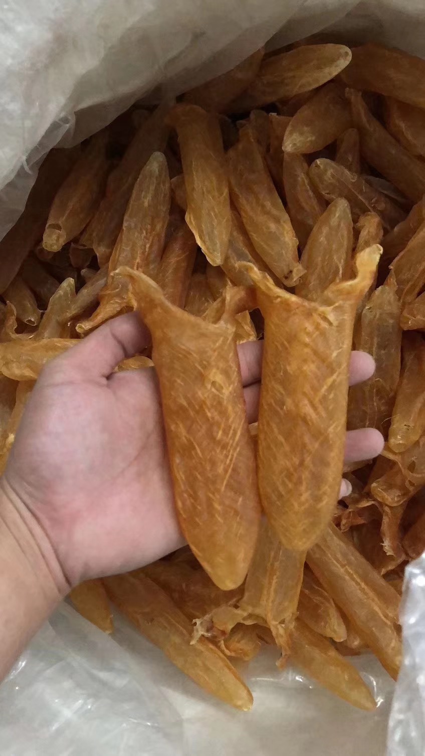 精选黄花筒无破洞非洲黄花鱼鱼胶花胶老货8年胶龄