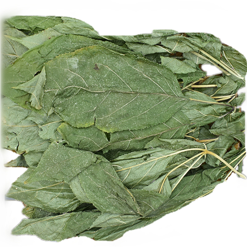 人参叶 叶子 干人参叶 一公斤初级农产品初加工