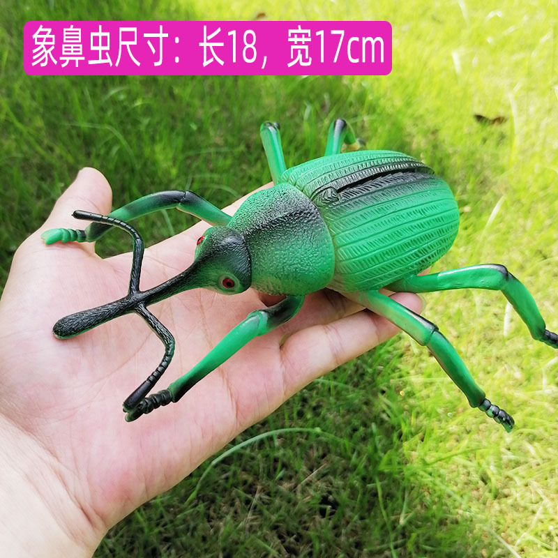 动物模型仿真小昆虫玩具蜘蛛蚂蚁蝴蝶瓢虫知了蜜蜂天牛