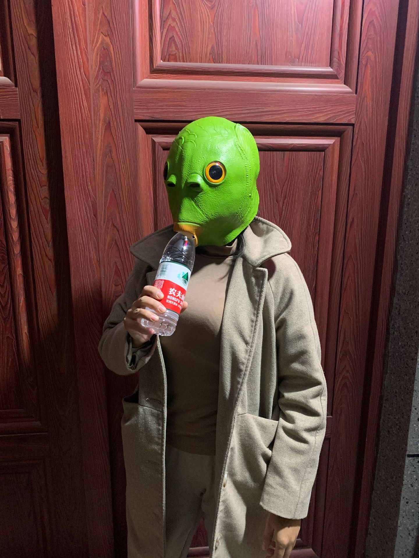 现货抖音同款绿鱼头套动物绿鱼人面具搞笑恶搞整蛊沙雕怪怪鱼头套