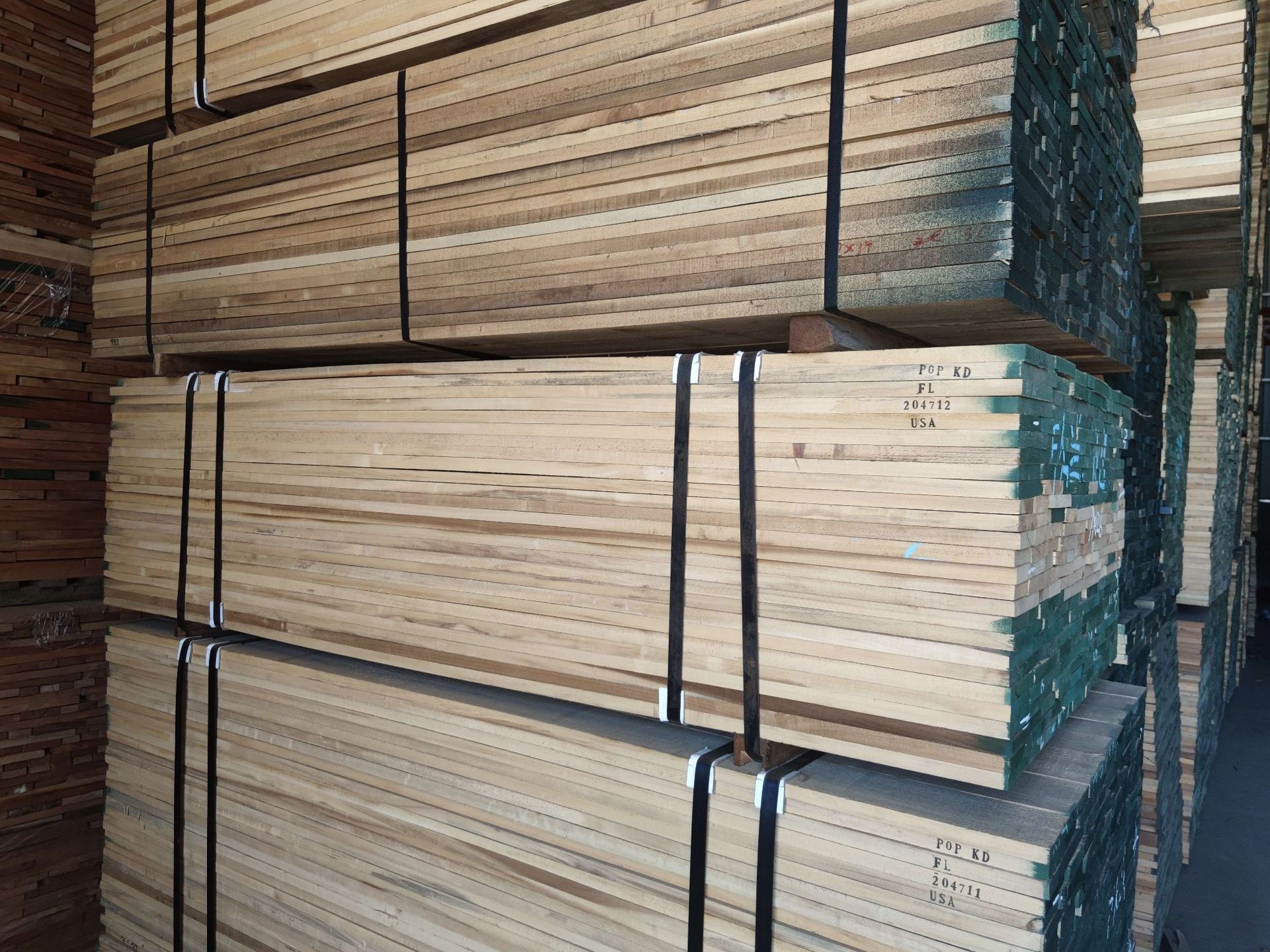 美国黄杨木 北美黄杨木 黄桦木 鹅掌楸木