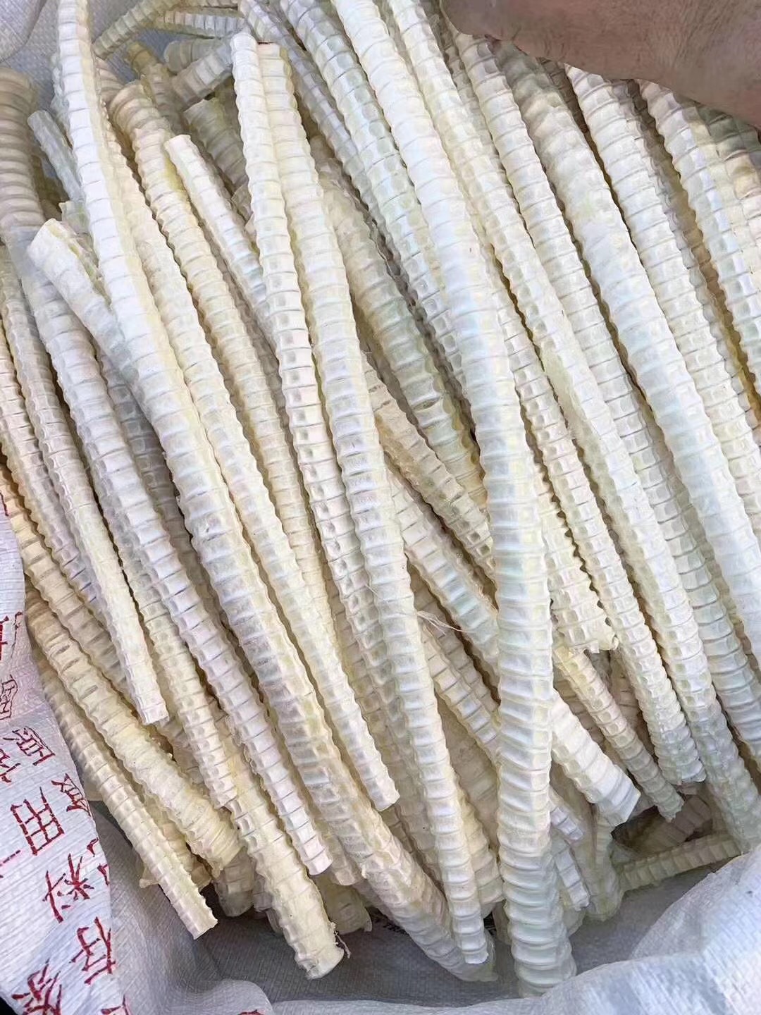 鲨鱼骨 龙骨干 鱼骨 煲汤佳品原骨 海鱼骨脊椎骨海味干货批发500g