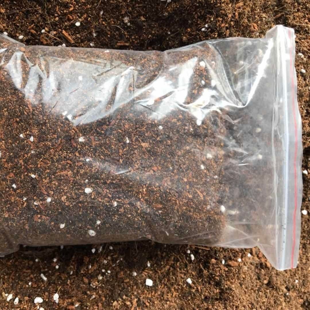 家庭园艺松红梅盆栽绿植换盆用土花卉营养土土平安竹杜鹃花蔬菜土