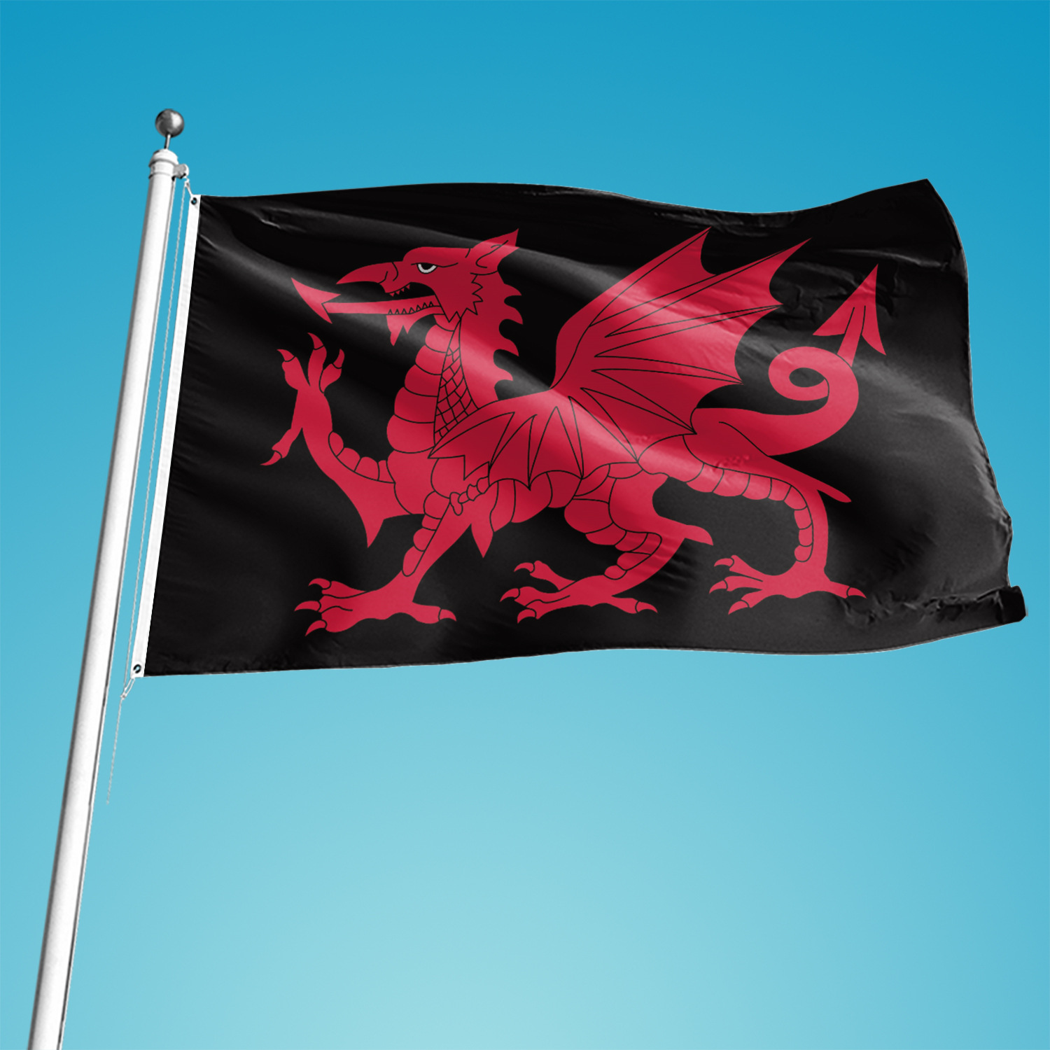 威尔士黑色旗共和运动 welsh republican movement 威尔士国旗