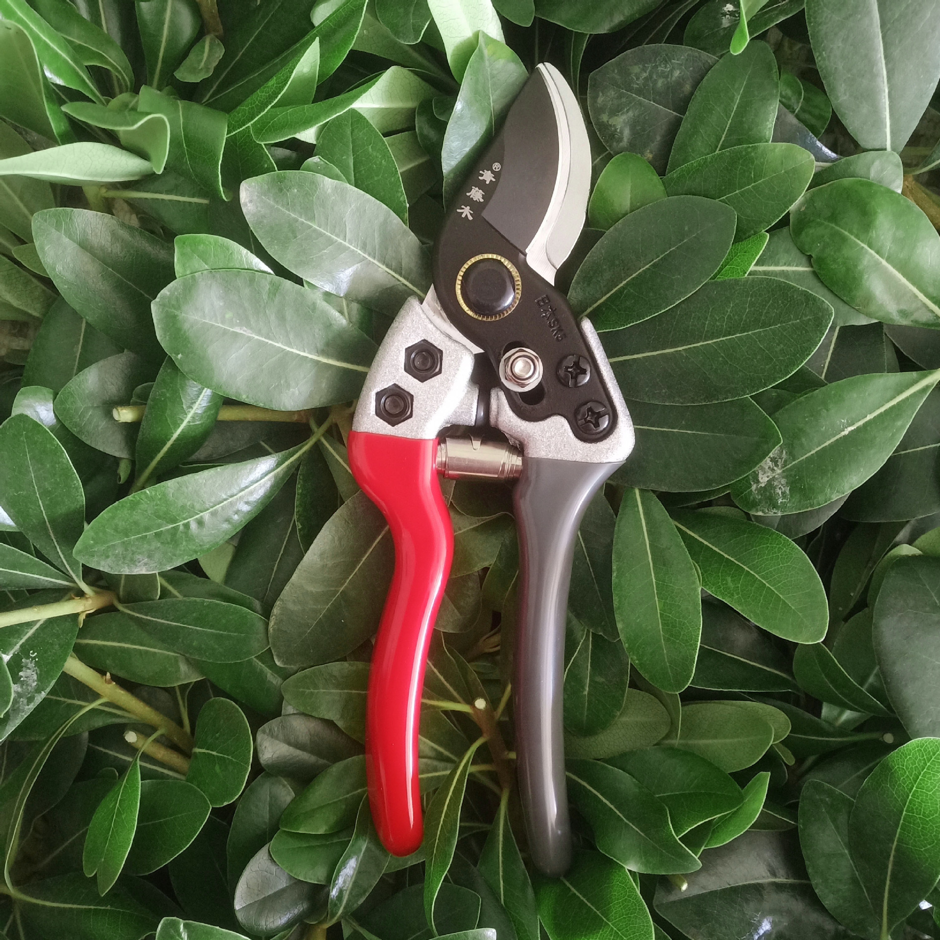 厂家现货sk5钢剪枝剪 果树修枝剪刀园艺果枝剪树枝园林省力修枝剪