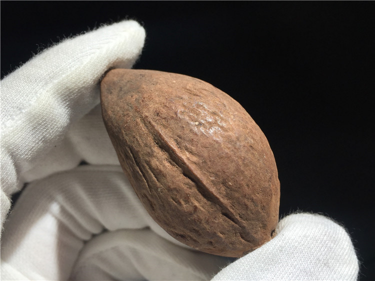 巴西橄榄核吧,大橄榄核的,橄榄核上的麻点_大山谷图库