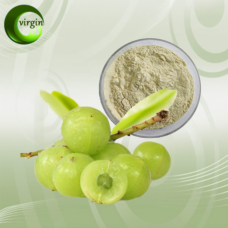 sc厂家原料余甘子果粉原料鲜果汁粉水溶果汁粉 余甘子 喷雾干燥粉